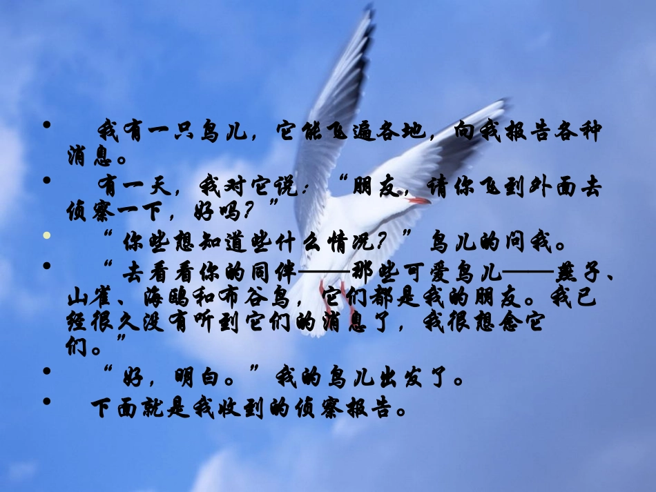 鸟儿的侦察报告课件_第2页
