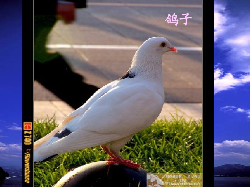 明天不封阳台_第3页