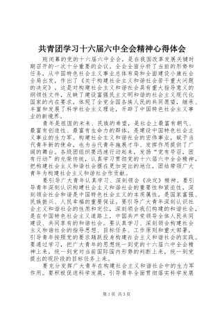 共青团学习十六届六中全会精神心得体会
