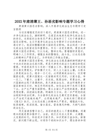 20XX年肃清薄王、孙恶劣影响专题学习心得 (4)