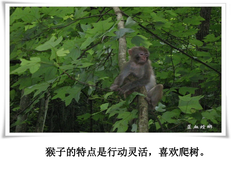 从现在开始__PPT优秀课件_第2页