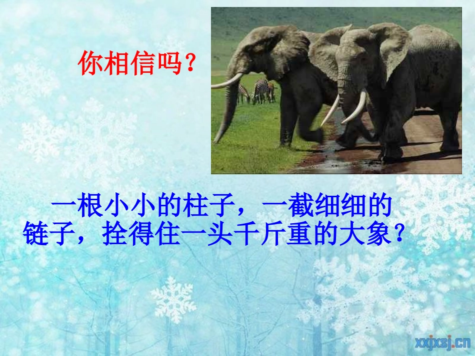 【】习惯养成主题班会_第2页