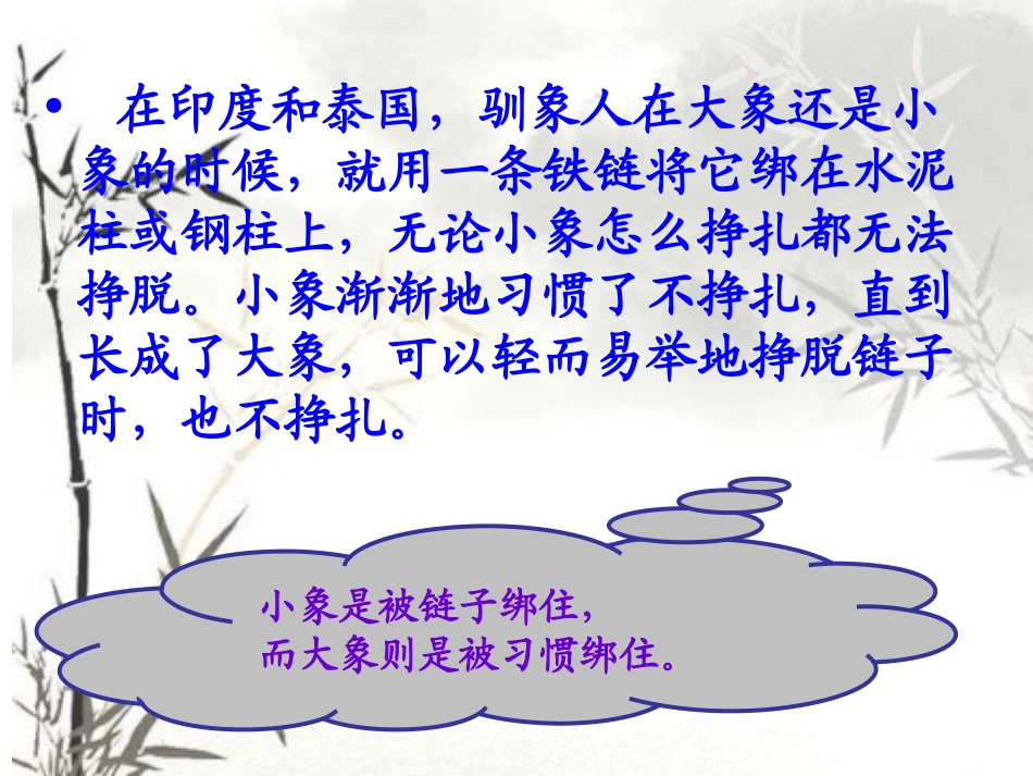 【】习惯养成主题班会_第3页