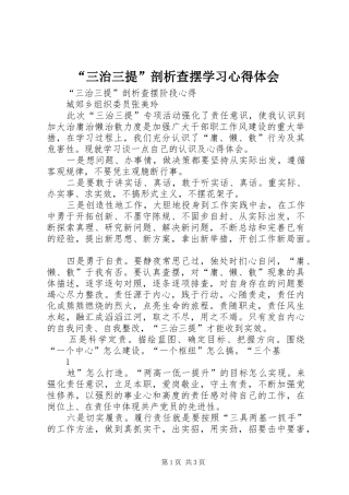 “三治三提”剖析查摆学习心得体会