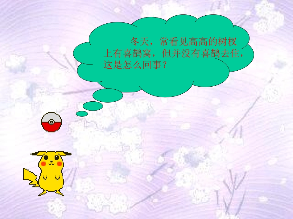 鸟的生殖和发育 (2)_第3页