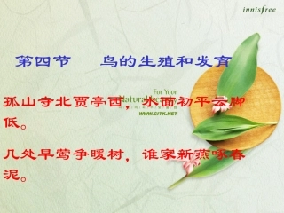 鸟的生殖和发育 (2)