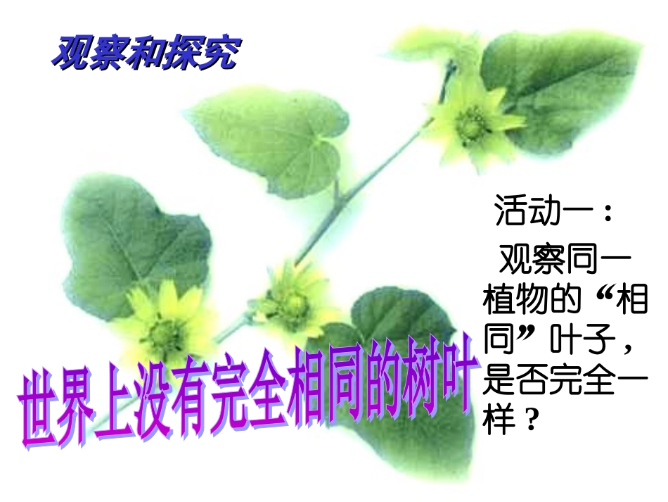 七年级思想品德上册3课2_第2页