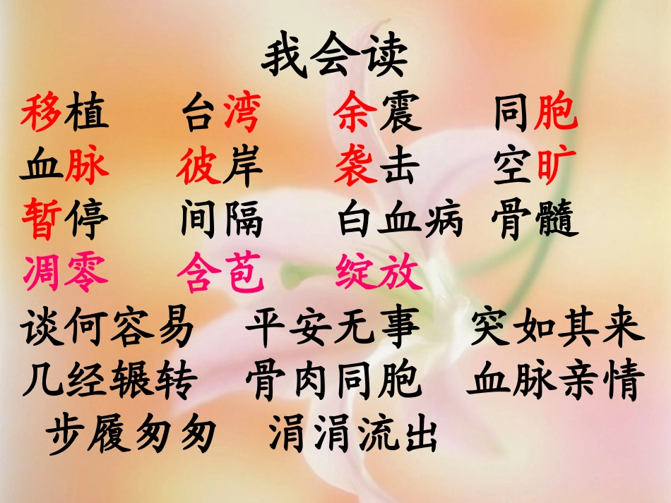 四年级上册22《跨越海峡的生命桥》课件_第3页