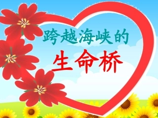 四年级上册22《跨越海峡的生命桥》课件