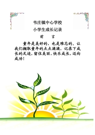 小学生成长记录档案袋 (2)