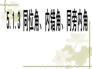 同位角内错角同旁内角SK