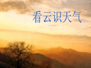 看云识天气 (4)