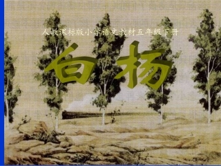 白杨教学课件4