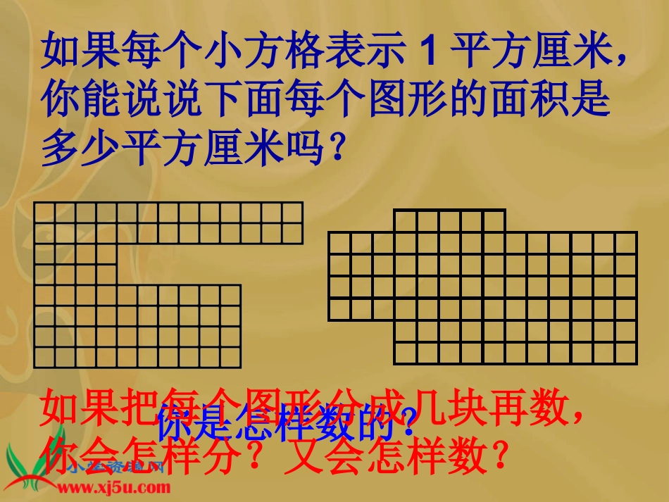《面积是多少》课件_第2页