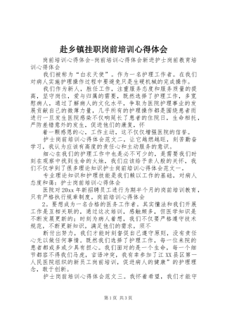 赴乡镇挂职岗前培训心得体会