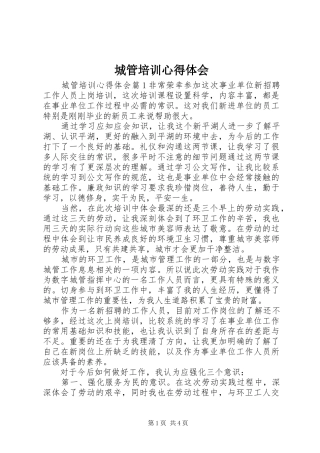 城管培训心得体会