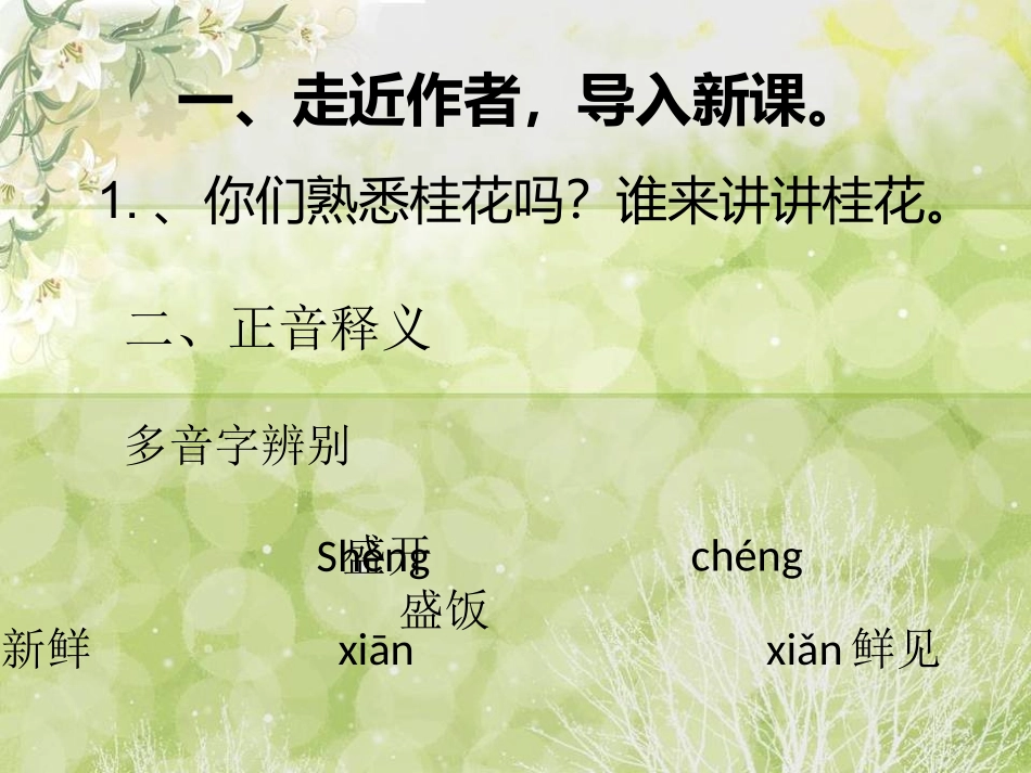 桂花雨 (2)_第2页