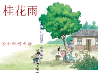桂花雨 (2)