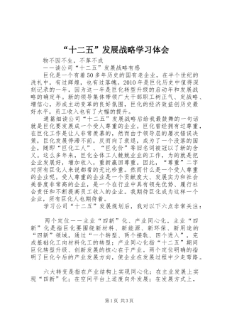 “十二五”发展战略学习体会