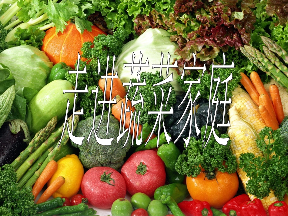 走进蔬菜家庭_第2页