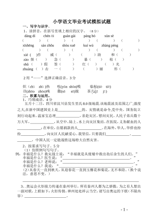 苏教版小学毕业模拟试卷