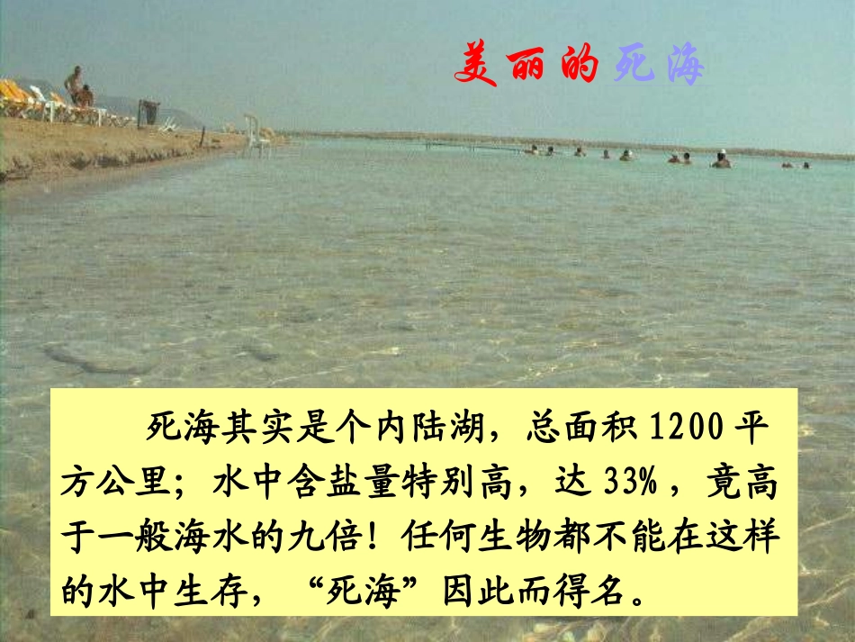 我躺在波浪上读书_第3页