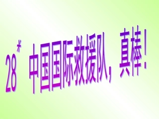 _28中国国际救援队_真棒