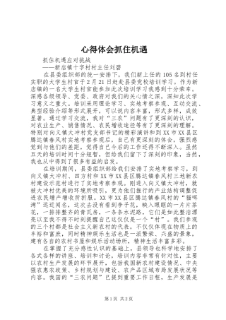 心得体会抓住机遇