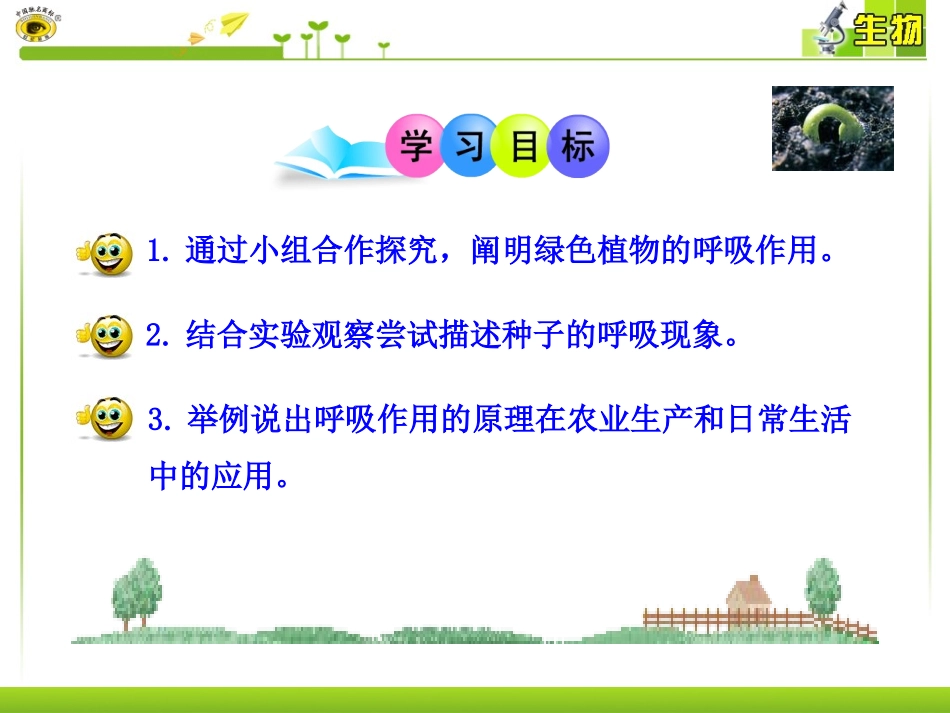 绿色植物的呼吸作用_第3页