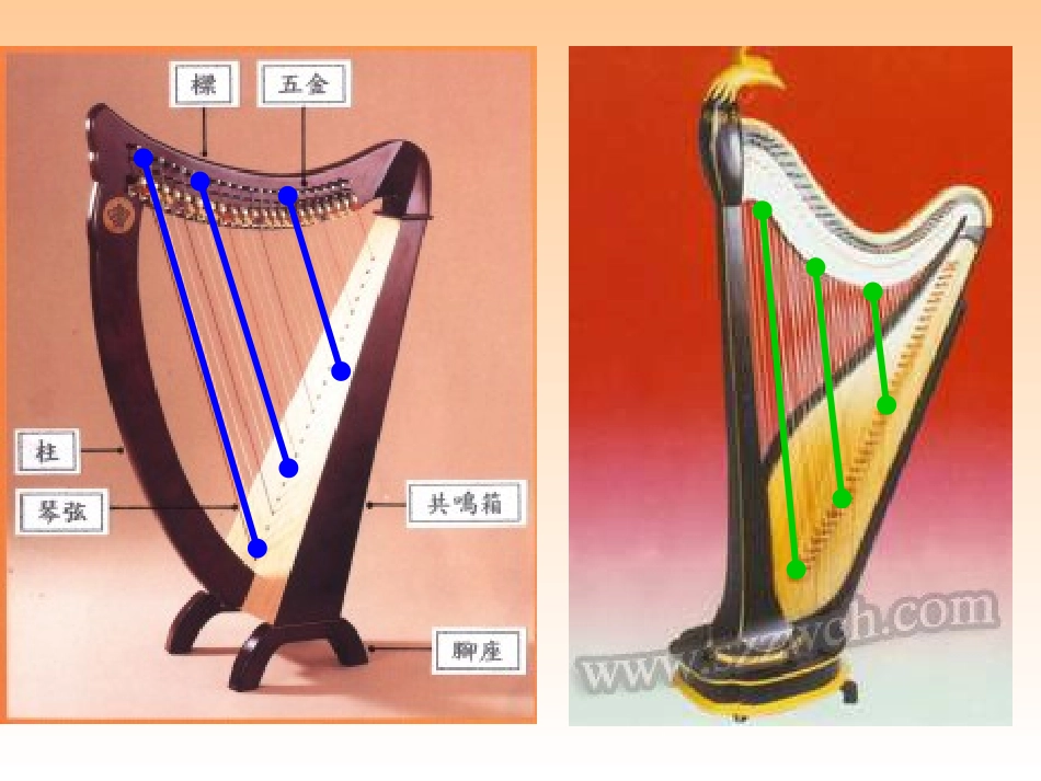 数学：41线段、射线、直线课件（北师大版七年级上）_第2页