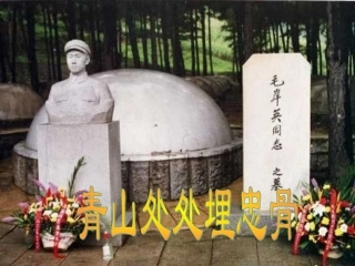 《青山处处埋忠骨》课件