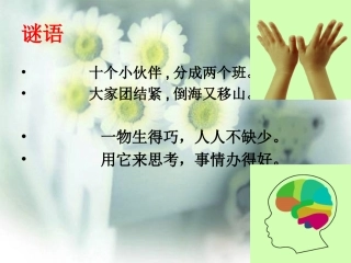 《两件宝》PPT