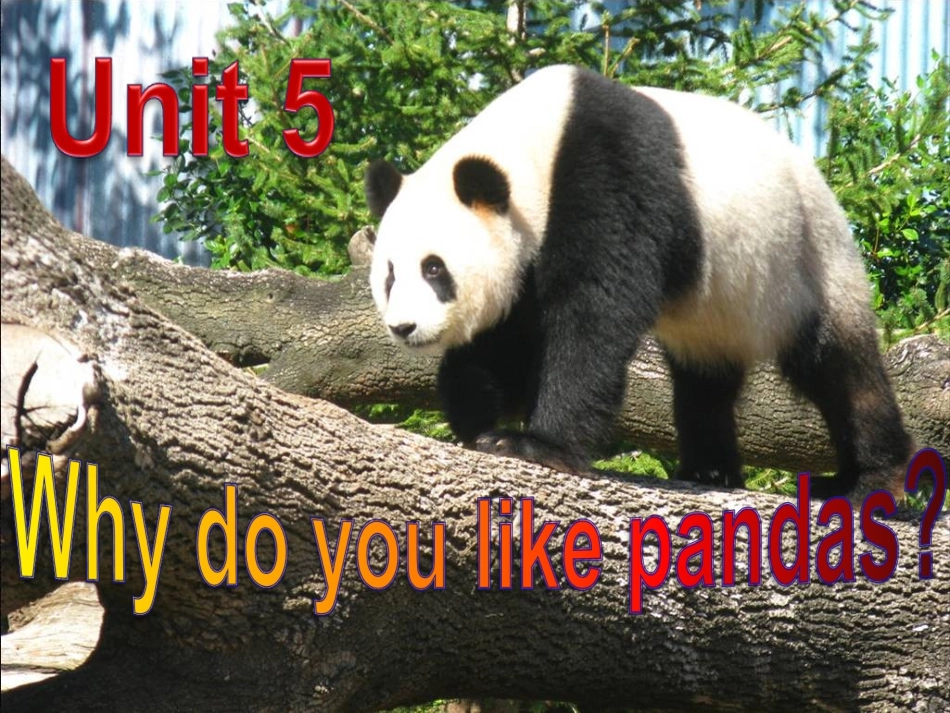 2013年春人教版英语七年级下册第五单元第三课时教学课件Section_B_1_第2页