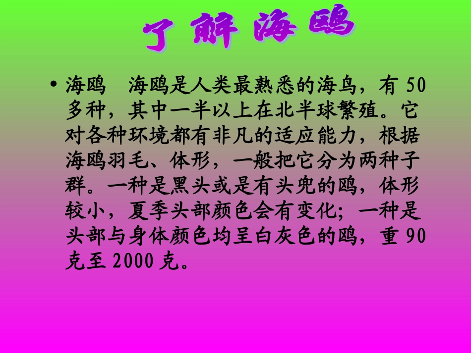 老人与海鸥课件1_(1)_第2页