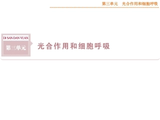 2015届《优化方案》高考生物（苏教版）一轮配套课件：第8讲ATP和酶