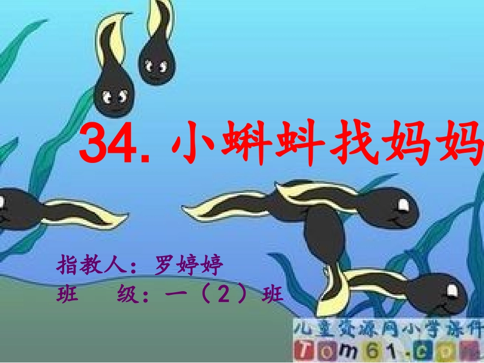 小蝌蚪找妈妈课件_第1页