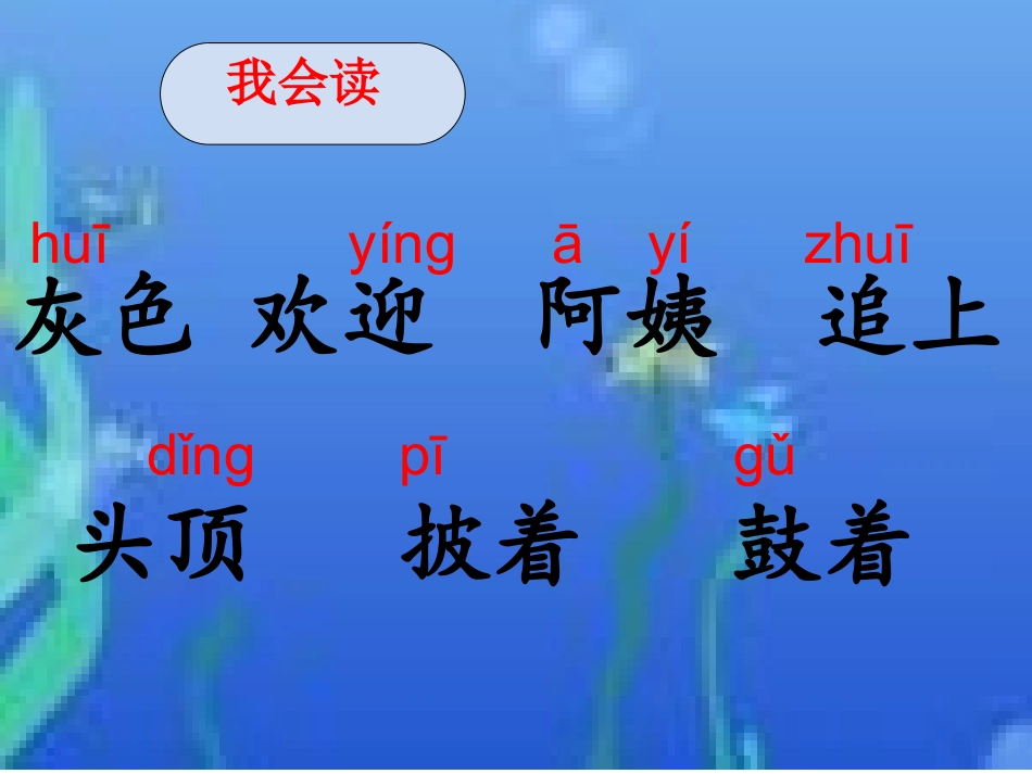 小蝌蚪找妈妈课件_第2页