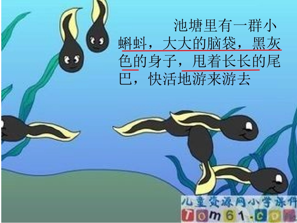 小蝌蚪找妈妈课件_第3页