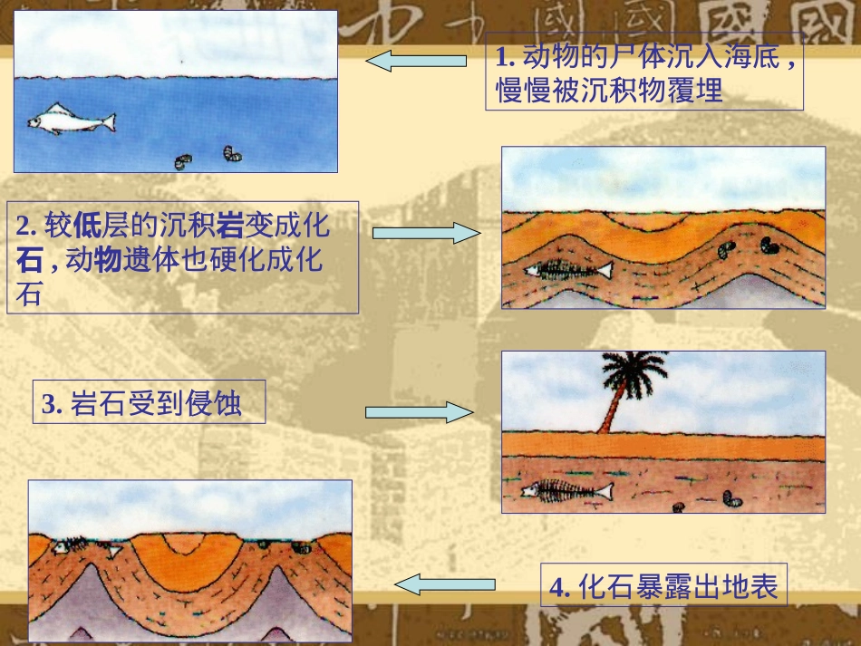 人教新课标版初中七上《化石吟》课件_第1页