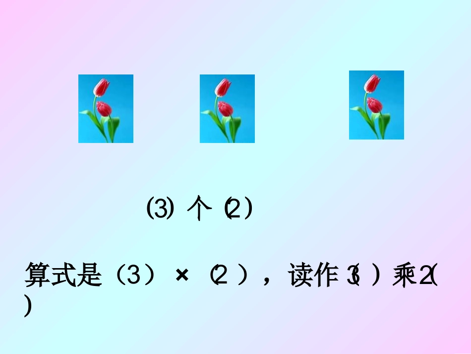 人教二年级上册第四单元乘法的初步认识___第2课时_第3页