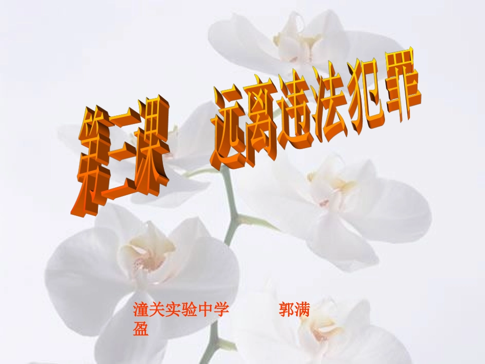 九年级政治第三课远离违法犯罪_第1页
