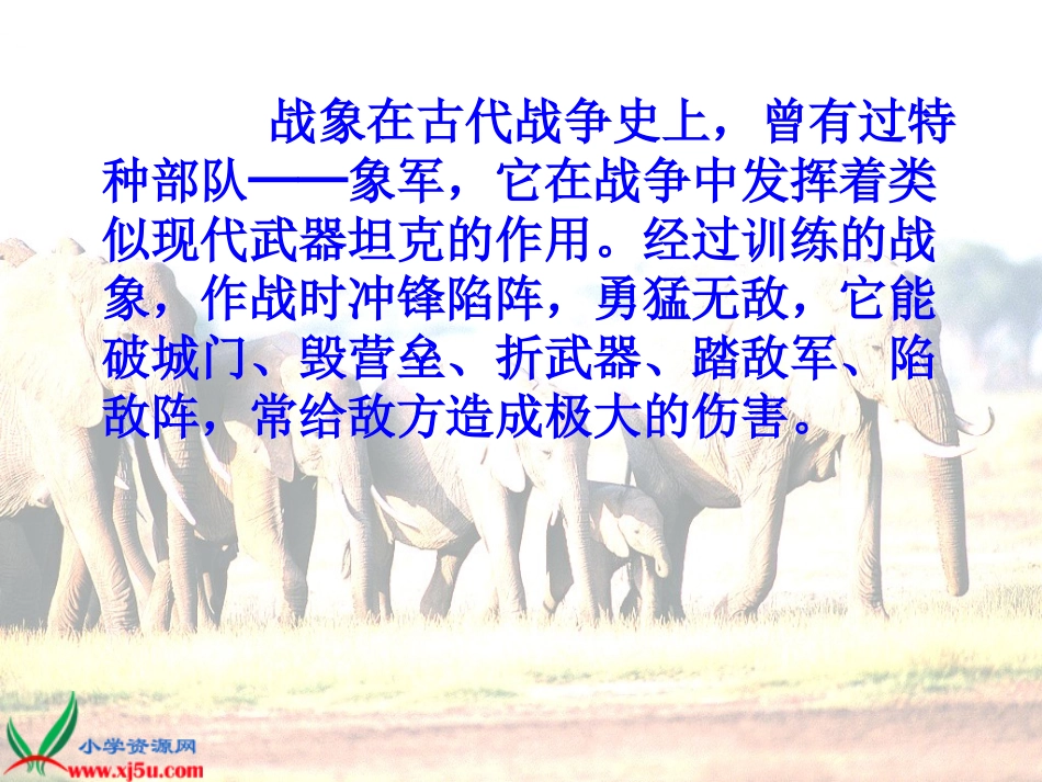 最后一头战象 (3)_第2页