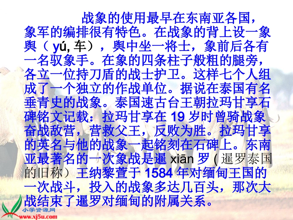 最后一头战象 (3)_第3页