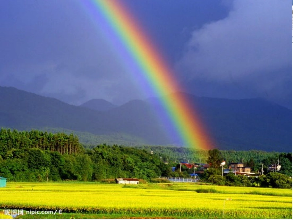 三年级上册公开课colours_第2页