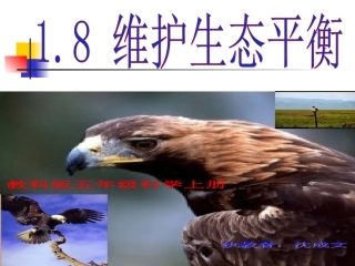 教科版五年级科学上册维护生态平衡