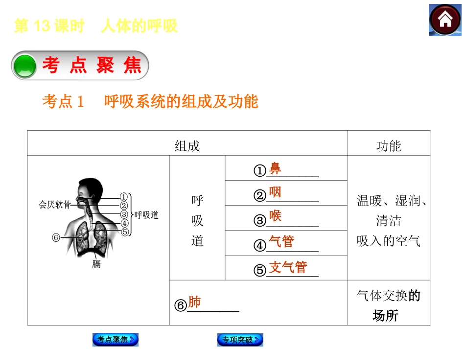2015生物中考总复习课件（考点聚焦+归类探究+回归教材）：第13课时　人体的呼吸_第2页