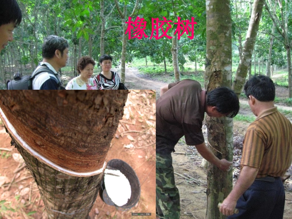 南海上的明珠(1)_第2页