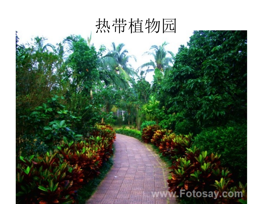 南海上的明珠(1)_第3页