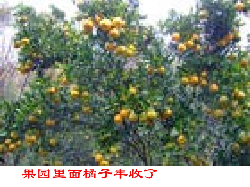 购_物_有_学_问_第2页