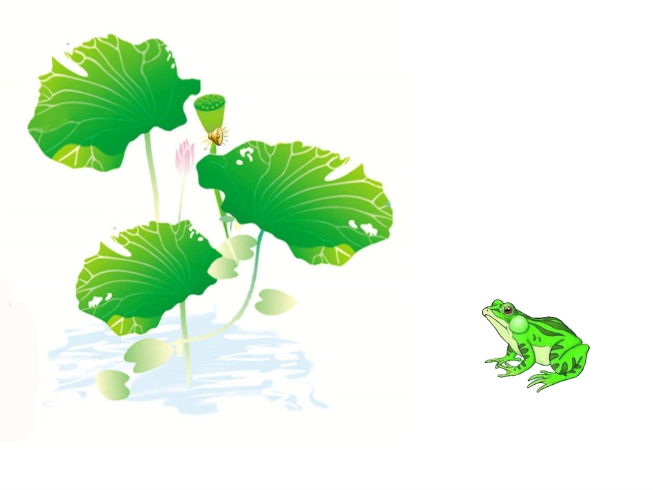 自然界的舞蹈家_第3页